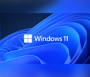 Windows 11