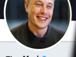 cropped-Elon-Musk-to-buy-Twitter-for-44-billion-take-company-private.jpg