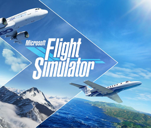 Microsoft Flight Simulator