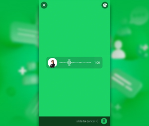 WhatsApp Long Voice Status Updates