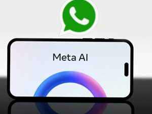 Voice Chat Feature