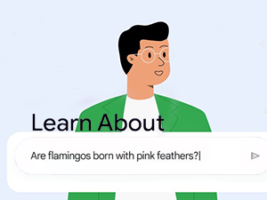Learn About
